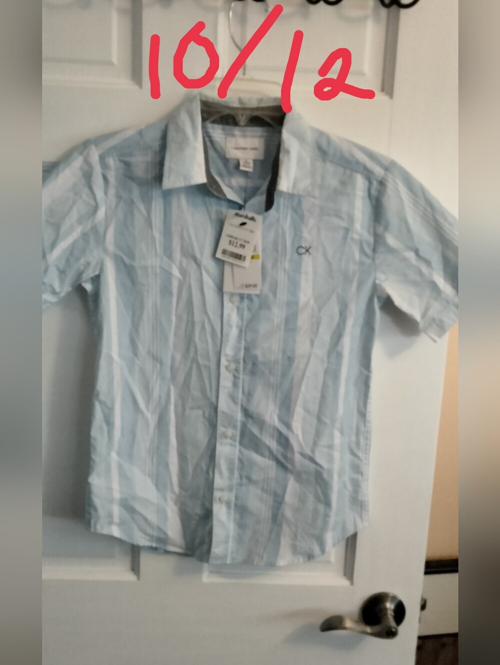 Calvin Klein Light Blue and White Striped Short-Sleeve Button-Down Shirt